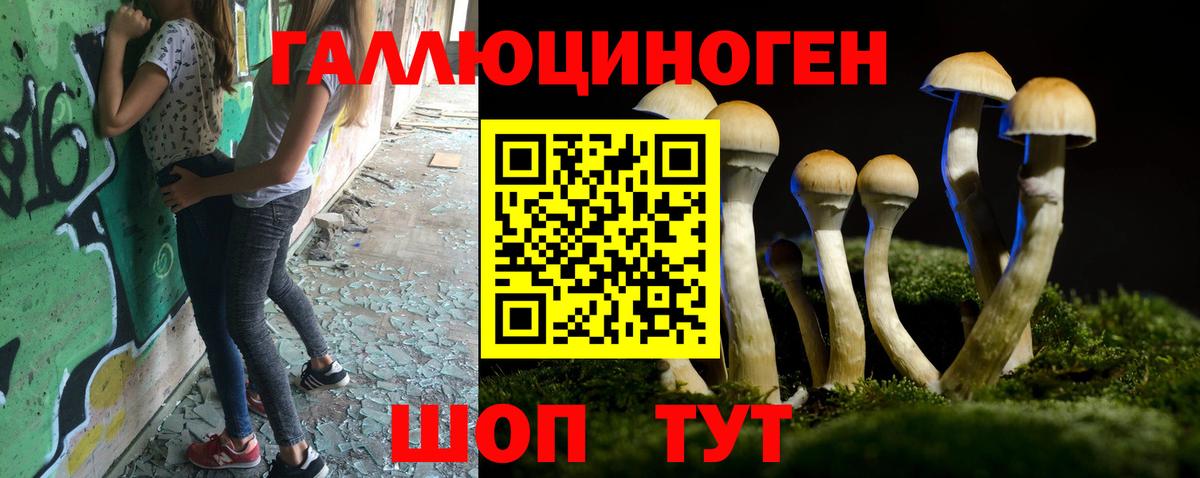Арсеньев  Псилоцибиновые грибы ЛСД  Псилоцибиновые грибы прущие грибы  Вход с VPN 