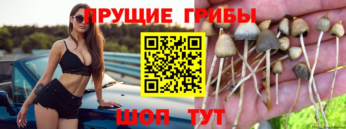 Галлюциногенные грибы прущие грибы Арсеньев